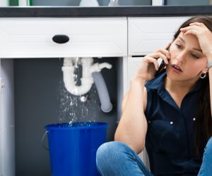 About Plumbers Pros Datil, NM